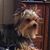 Ida Kay Manspile's profile image