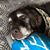 Judy Hamm-Even's profile image