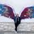 Maureen Cavanaugh Berry's profile image