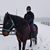 Danielle Gulbrandsen Geisert's profile image