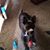 Dolly Fluke's profile image