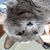 S Scotty Scottwards's profile image