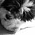 Cathy Drapeau's profile image