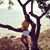 Andrea Franco's profile image