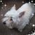 Patty Conway's profile image