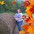 Giuseppina Fiandaca Brady's profile image