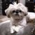 Teri Willis's profile image