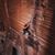 Mallorie Estenson's profile image
