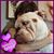Jodi Dibble's profile image
