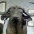 Bob Cook's profile image
