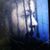 Raghlino France's profile image