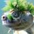 Ryan Shwonek's profile image