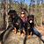 Nicki McCullough Losa's profile image