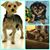 Neal Rupe's profile image