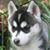 John Cleavelin's profile image