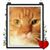 Pamela Guiheen's profile image