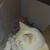 Kerry Murphy Bangert's profile image