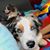 Beth Swade Thomas's profile image