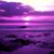 Jo Ann Rimmon's profile image