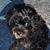 Jennifer Matts's profile image