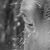 Maria Culler-Gross's profile image