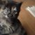 Shelagh Trewern's profile image