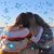 Sheila Altman's profile image