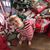 Lori Grundy Gentry's profile image
