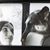 Patricia Anne Priddy's profile image