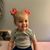 Denise Schall Taylor's profile image