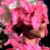 Carmen Muñoz's profile image