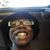 Resurrectedfrom Myashes's profile image
