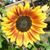 Tami Fisher's profile image