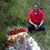 Juan Antonio Garcia Osorio's profile image