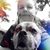 Sylvia Jankovic's profile image