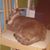 Lacie Weaver's profile image