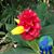 Grant Matthys's profile image