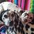 Debbie Fortney's profile image