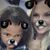 Heather Abate's profile image