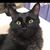 Holly Rulli's profile image