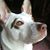 Ellen Leithold's profile image