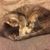 Casey Richey's profile image