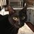 Sunny Hilliard's profile image