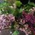 Patty Murphy Glick's profile image