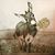Jaqui Kerns Barrow's profile image