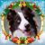 Pamela O'Day's profile image
