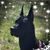 Dianne Hinojosa's profile image