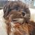 Ruthie Johnson's profile image