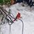 Marsha Furness's profile image