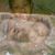 Myisha Woolridge's profile image